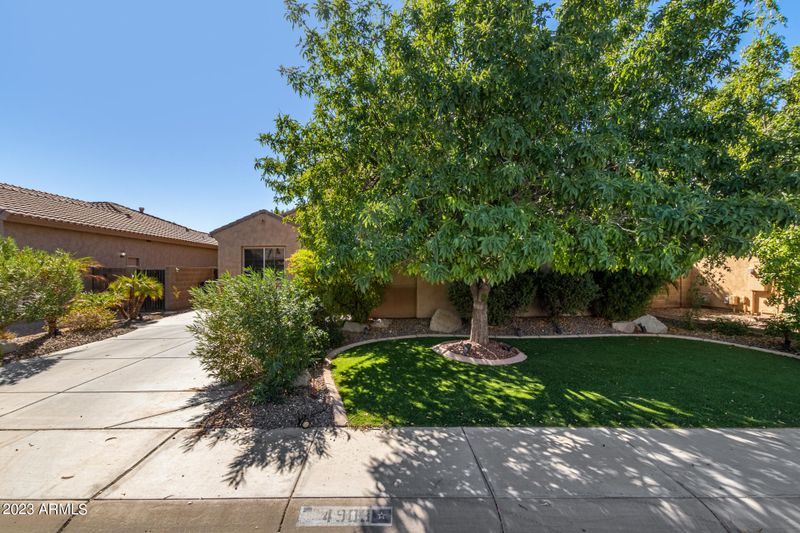 4903 E Firestone Dr, Chandler, AZ 85249