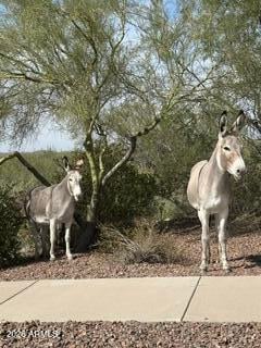 4915 W Faull Dr, New River, AZ 85087