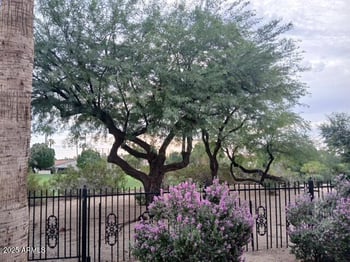 4932 Monte Way, Phoenix, AZ 85044