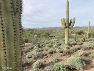 49636 15th Ave #4, New River, AZ 85087