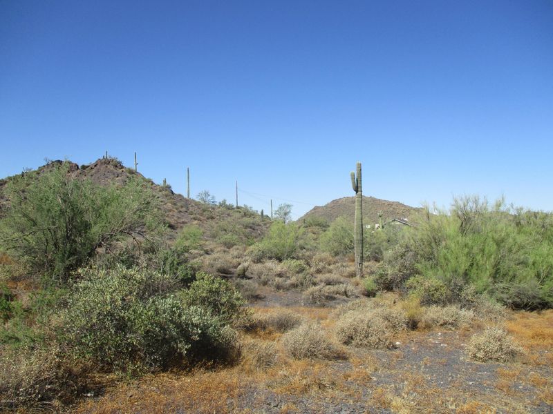 5 acres N Linda Dr #1, Cave Creek, AZ 85331