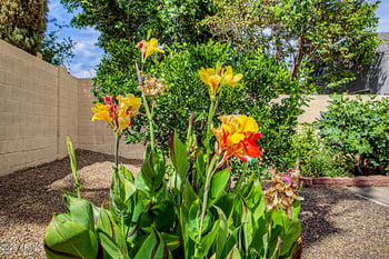 5002 Blanche Dr, Scottsdale, AZ 85254