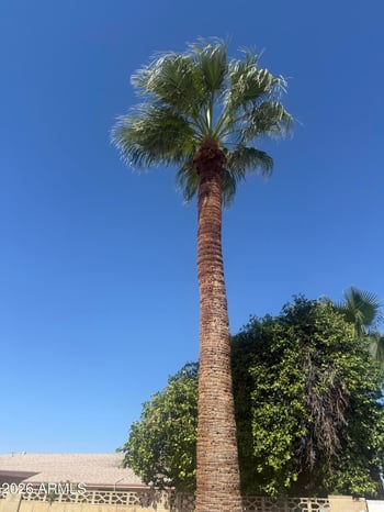 5010 E Laurel Ln, Scottsdale, AZ 85254