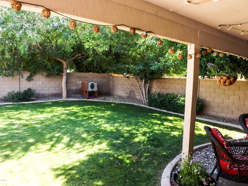 503 W Scott Ave, Gilbert, AZ 85233