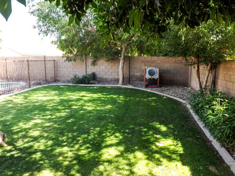 503 W Scott Ave, Gilbert, AZ 85233