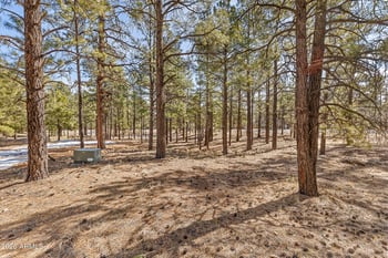 5055 Townsend Winona Rd #3, Flagstaff, AZ 86004