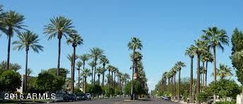 506 E Fairway Dr #09, Litchfield Park, AZ 85340