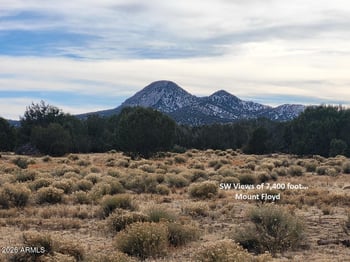 51 Ranch Rd #51C, Williams, AZ 86046