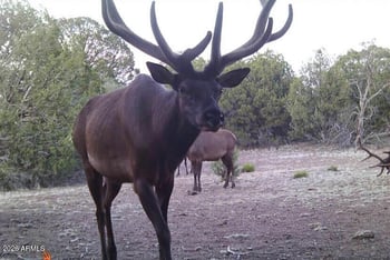 51 Ranch Rd #51C, Williams, AZ 86046