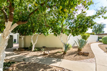 5101 N Casa Blanca Dr #237, Paradise Valley, AZ 85253