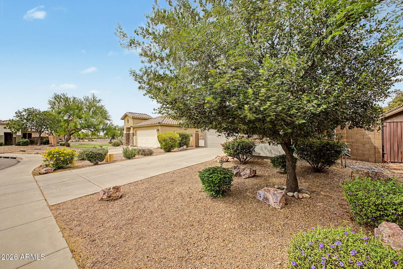 514 Holstein Trl, San Tan Valley, AZ 85143
