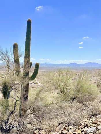 517 E Old West Way #-, Phoenix, AZ 85085
