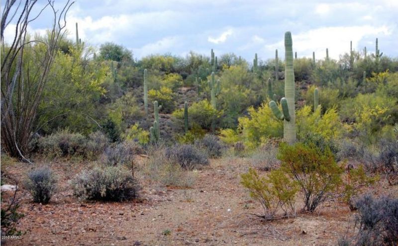 5200 E Desert Hills Dr #-, Cave Creek, AZ 85331