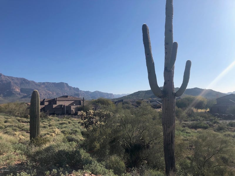 5211 Gold Canyon Dr #6, Gold Canyon, AZ 85118