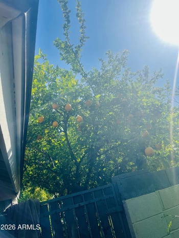 5230 Jupiter Way, Chandler, AZ 85226