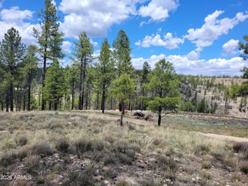 525 Moqui Dr #6, Happy Jack, AZ 86024