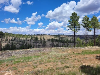 525 Moqui Dr #6, Happy Jack, AZ 86024