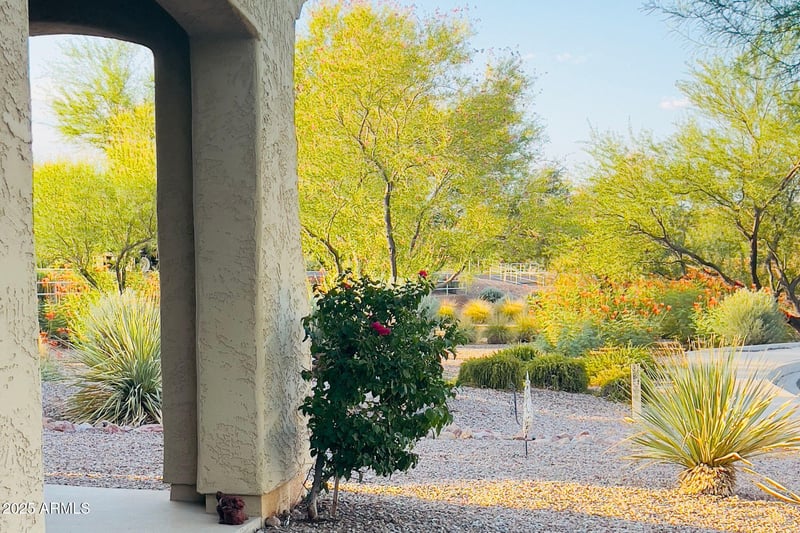 5265 Dante --, Mesa, AZ 85212