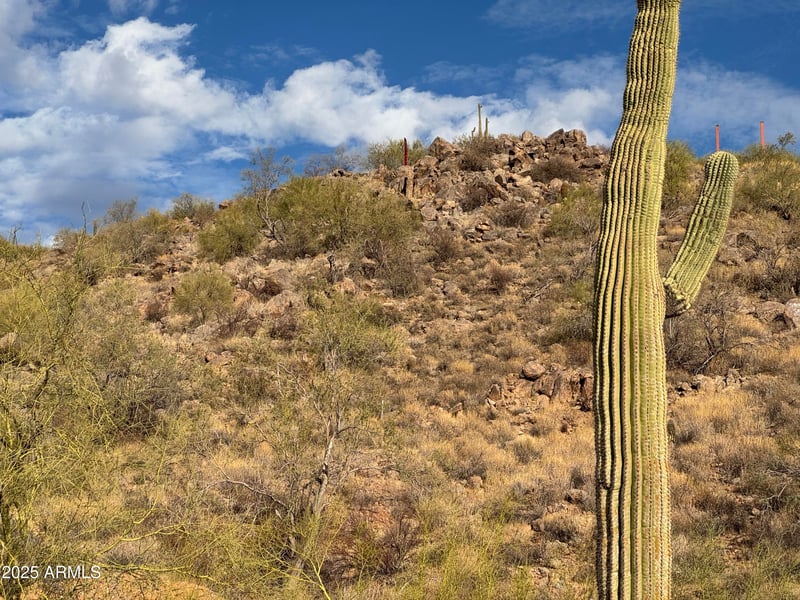 5289 Cariott Ct #-, Gold Canyon, AZ 85118