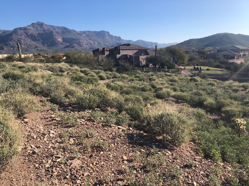 5293 Gold Canyon Dr #10, Gold Canyon, AZ 85118