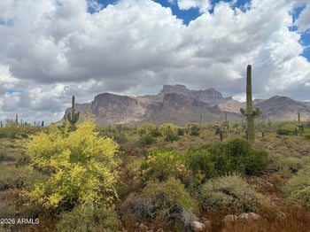 53 La Barge Rd, Apache Junction, AZ 85119