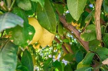 5311 8th Ave, Phoenix, AZ 85013