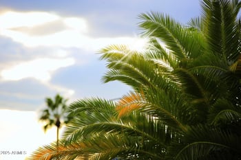5314 Via Los Caballos --, Paradise Valley, AZ 85253