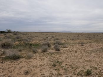 531XX-A Elliot Rd #A, Tonopah, AZ 85354
