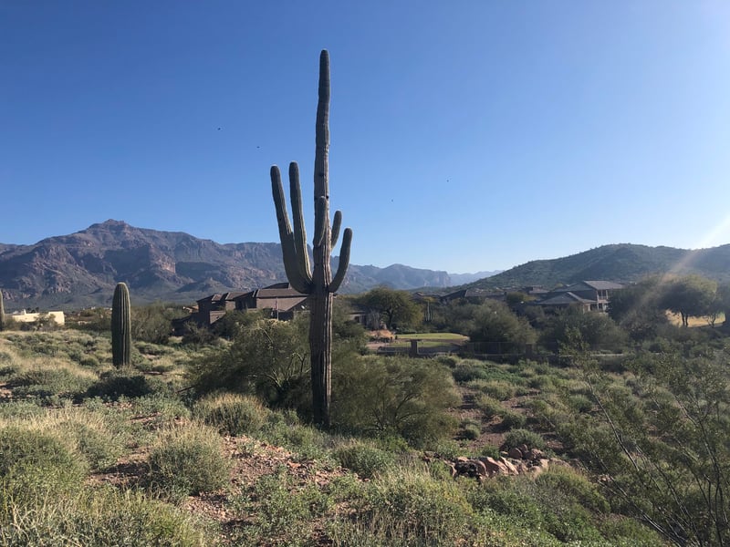 5327 Gold Canyon Dr #12, Gold Canyon, AZ 85118