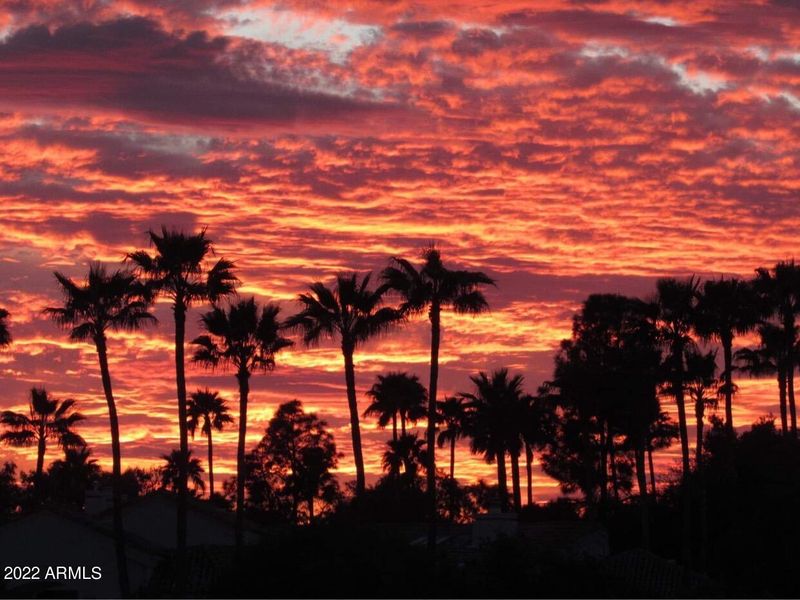 5335 E Shea Blvd #1061, Scottsdale, AZ 85254