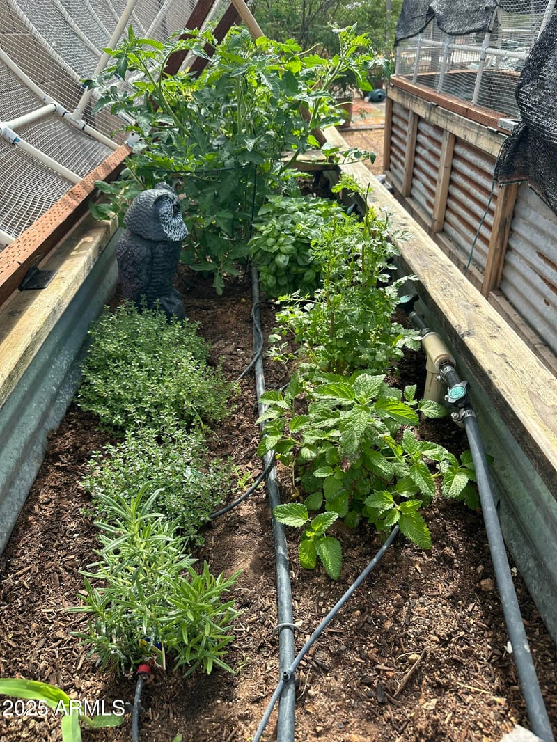 5354 Cactus Wren St, Apache Junction, AZ 85119