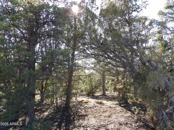 5365 Twin Oaks Loop #50, Happy Jack, AZ 86024