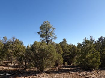 5365 Twin Oaks Loop #50, Happy Jack, AZ 86024