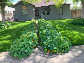 537 W Willetta St, Phoenix, AZ 85003