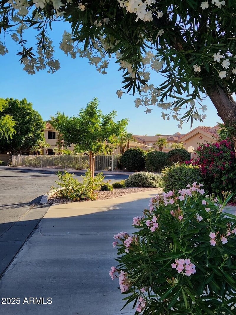 5450 Mclellan Rd #227, Mesa, AZ 85205