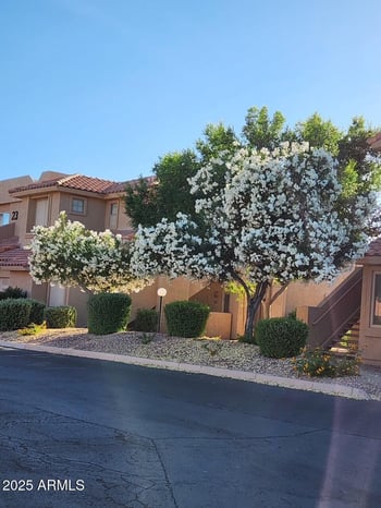 5450 Mclellan Rd #227, Mesa, AZ 85205