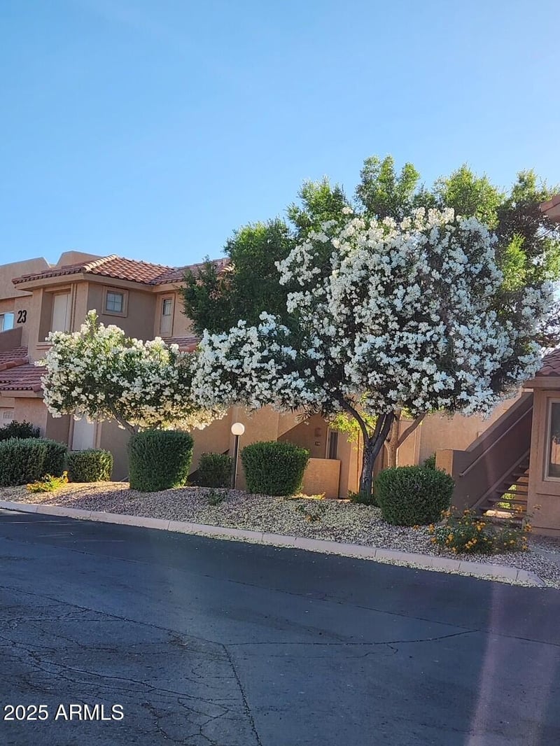 5450 Mclellan Rd #227, Mesa, AZ 85205