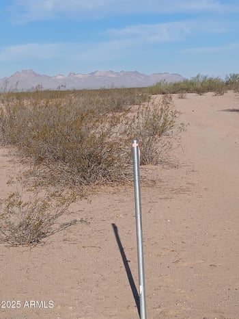 547 P 547th Ave #P, Tonopah, AZ 85354