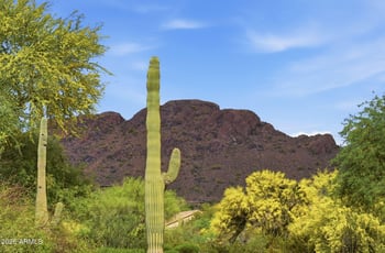 5482 Pyrite Cir, Gold Canyon, AZ 85118