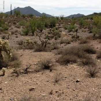 54xx E Morning Star Rd #-, Cave Creek, AZ 85331