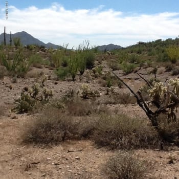 54xx E Morning Star Rd #-, Cave Creek, AZ 85331