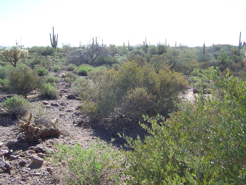 5501 E Cody St, Apache Junction, AZ 85119