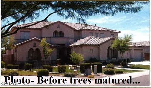 5521 S Wayne Dr, Chandler, AZ 85249