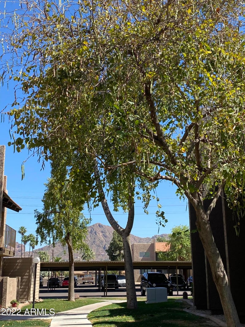 5525 E Thomas Rd #O9, Phoenix, AZ 85018