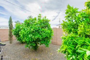 5541 Cheery Lynn Rd, Phoenix, AZ 85018