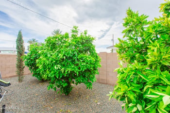 5541 Cheery Lynn Rd, Phoenix, AZ 85018