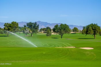 56 E Camellia Way, Queen Creek, AZ 85140