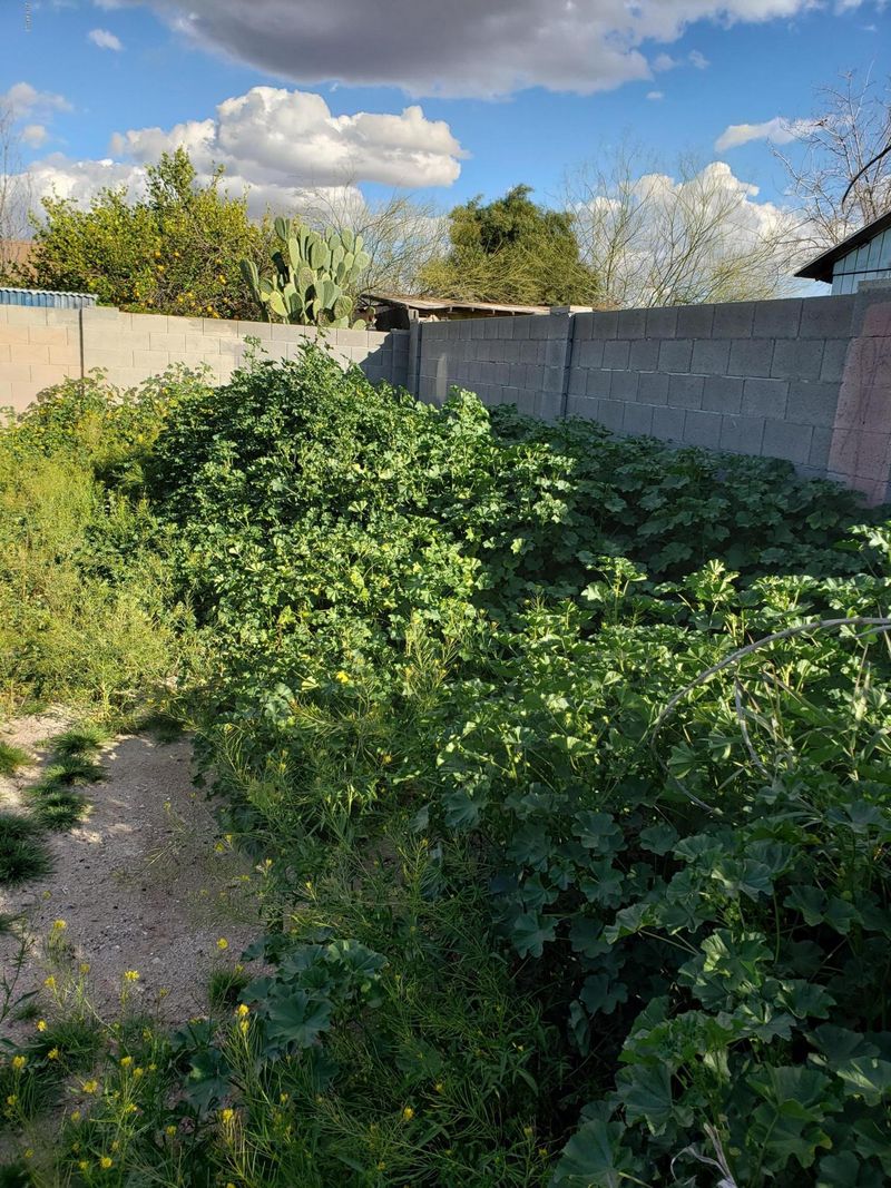 5615 E Calle Pitaya -- #6, Tempe, AZ 85283