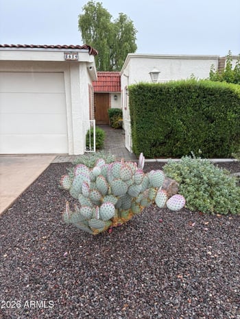 5619 E Century Ln, Scottsdale, AZ 85254