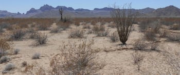 56366 Centennial Rd #-, Tonopah, AZ 85354